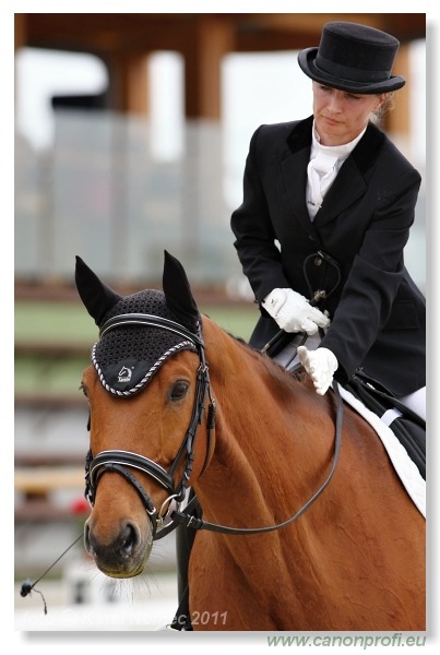 Drezúra - Dressage 2011