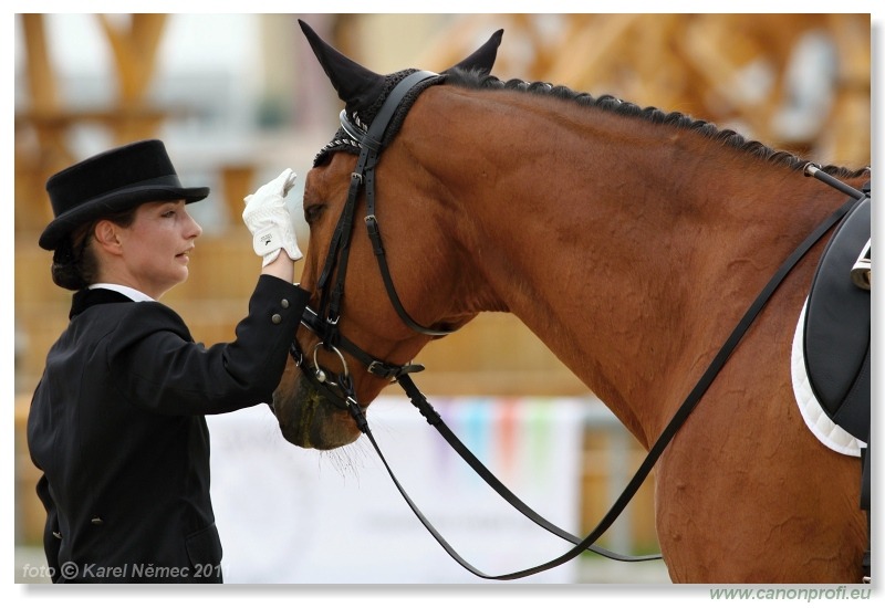 Drezúra - Dressage 2011