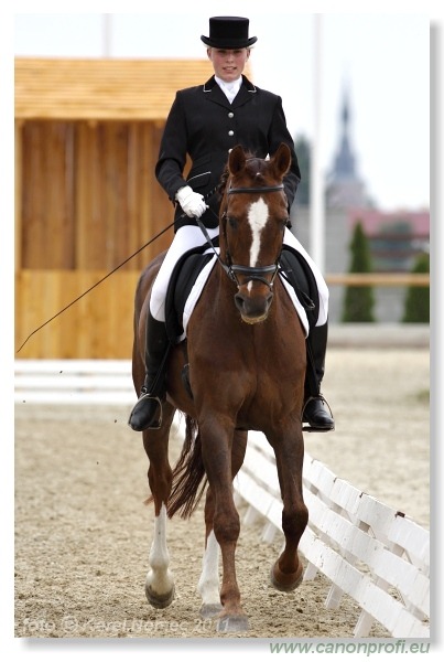 Drezúra - Dressage 2011