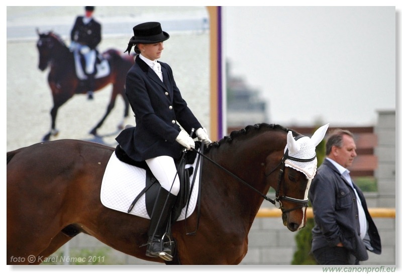 Drezúra - Dressage 2011