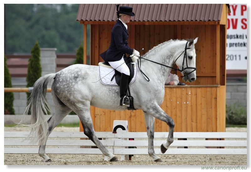 Drezúra - Dressage 2011