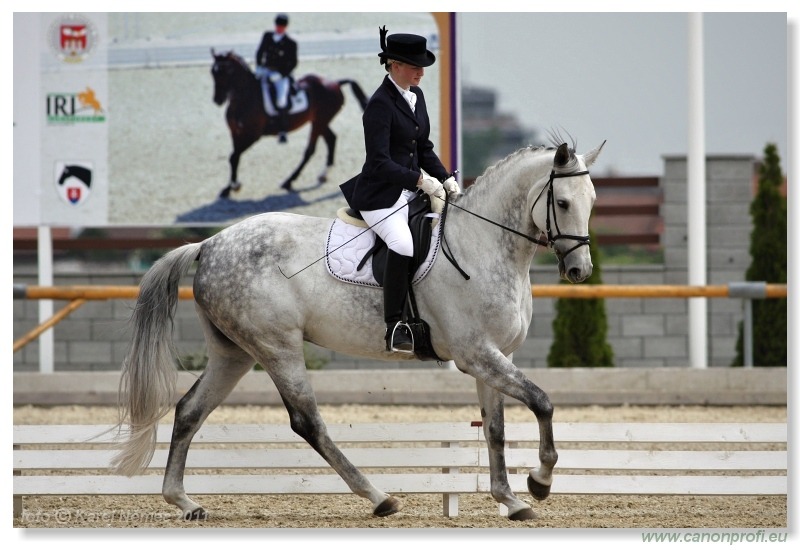 Drezúra - Dressage 2011