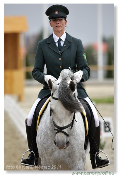 Drezúra - Dressage 2011