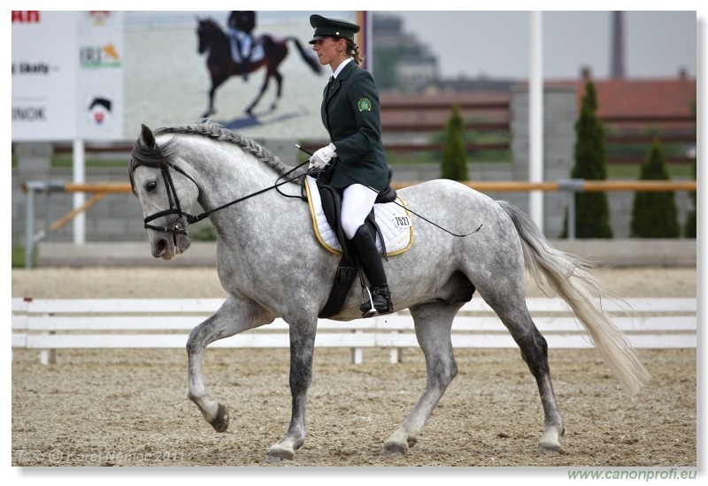 Drezúra - Dressage 2011