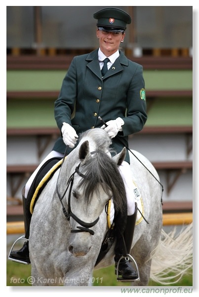 Drezúra - Dressage 2011