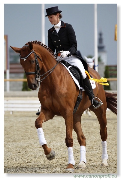 Drezúra - Dressage 2011