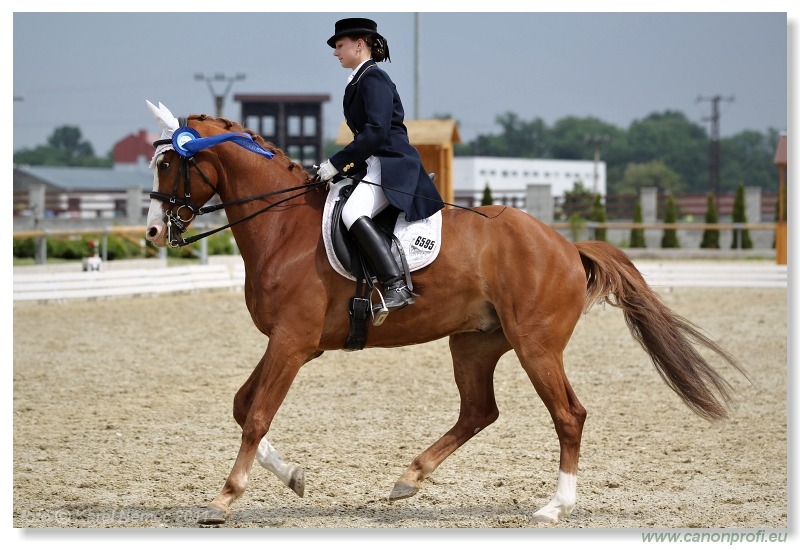 Drezúra - Dressage 2011