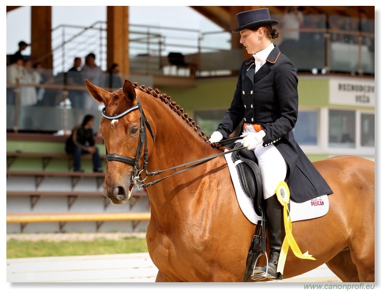 Drezúra - Dressage 2011