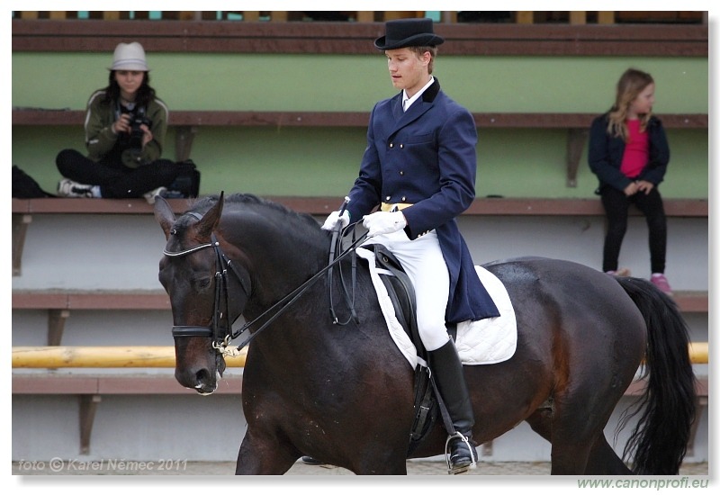 Drezúra - Dressage 2011