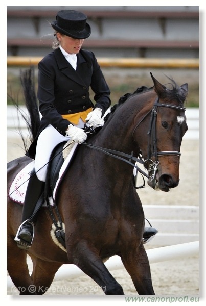 Drezúra - Dressage 2011