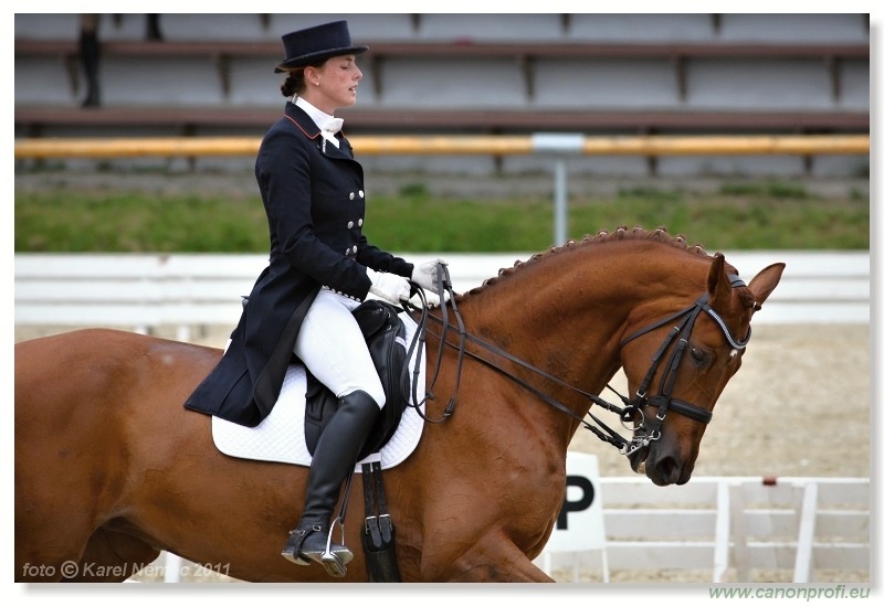 Drezúra - Dressage 2011