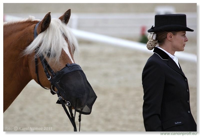 Drezúra - Dressage 2011