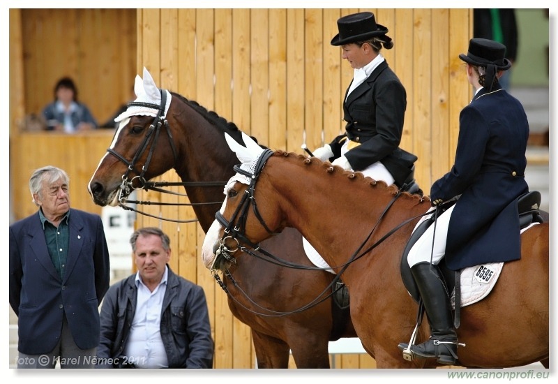 Drezúra - Dressage 2011