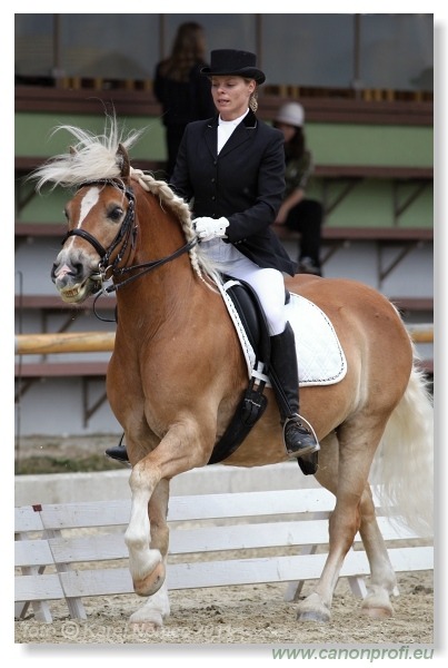 Drezúra - Dressage 2011