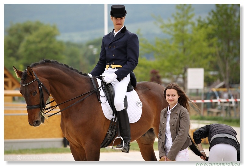 Drezúra - Dressage 2011