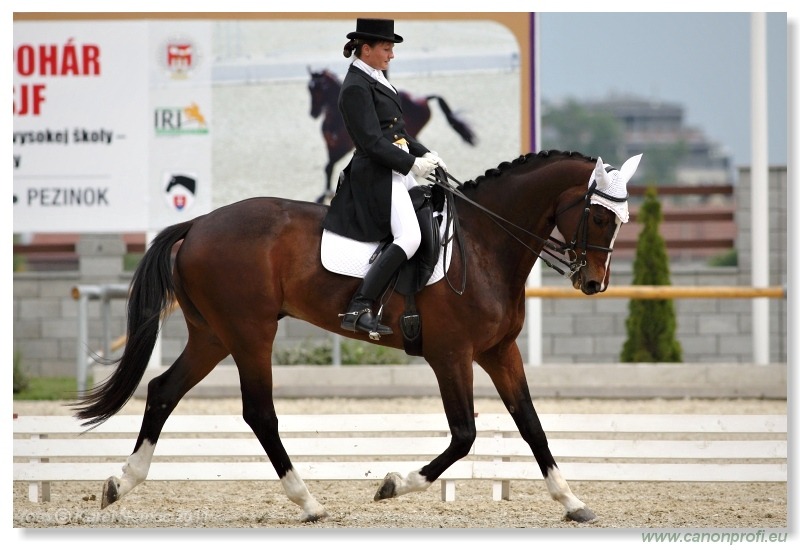 Drezúra - Dressage 2011