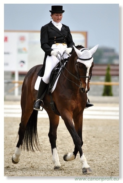 Drezúra - Dressage 2011