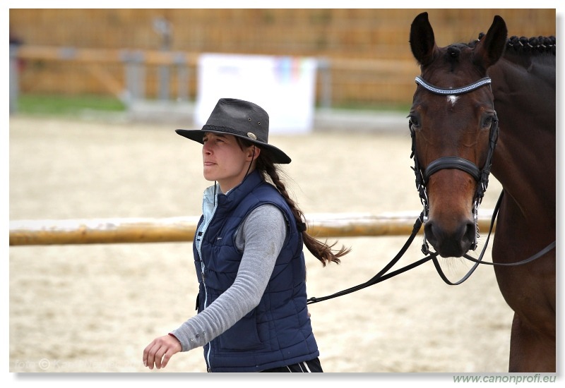 Drezúra - Dressage 2011