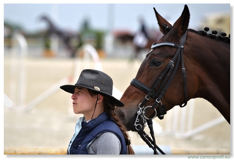 Drezúra - Dressage 2011