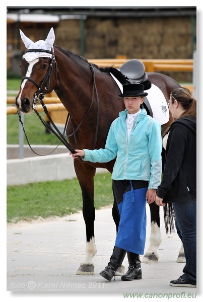 Drezúra - Dressage 2011