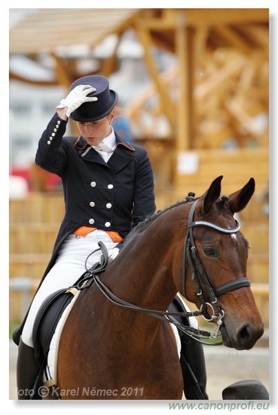 Drezúra - Dressage 2011