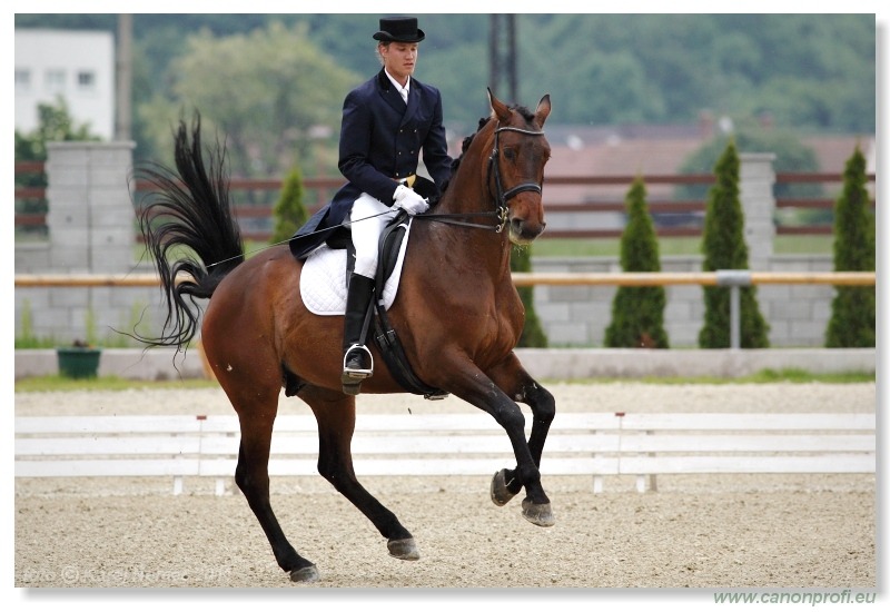 Drezúra - Dressage 2011