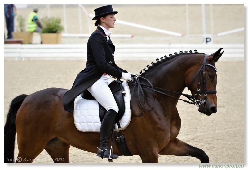 Drezúra - Dressage 2011