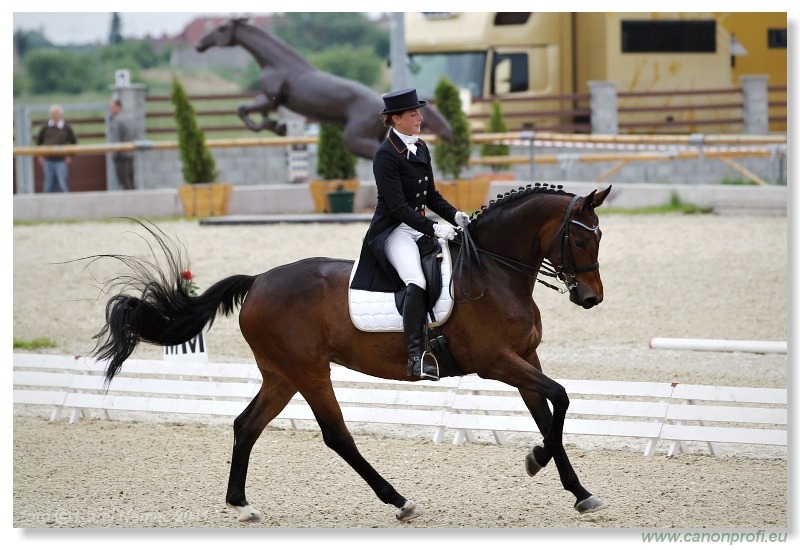 Drezúra - Dressage 2011