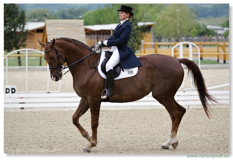 Drezúra - Dressage 2011