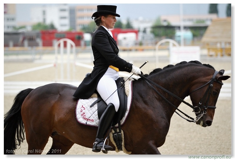 Drezúra - Dressage 2011