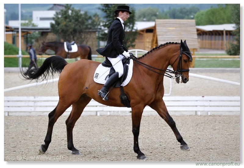 Drezúra - Dressage 2011