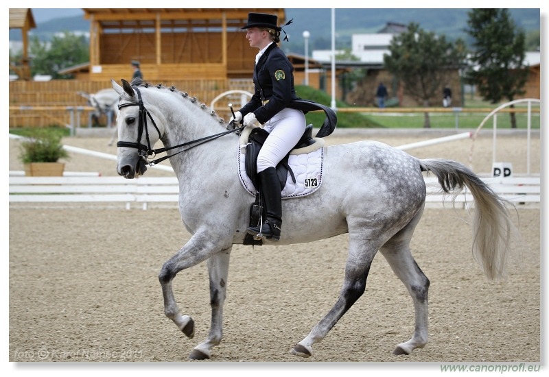 Drezúra - Dressage 2011