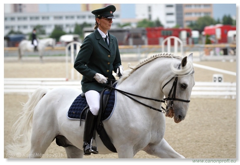 Drezúra - Dressage 2011