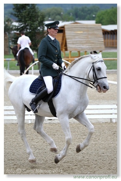 Drezúra - Dressage 2011