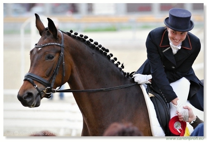 Drezúra - Dressage 2011