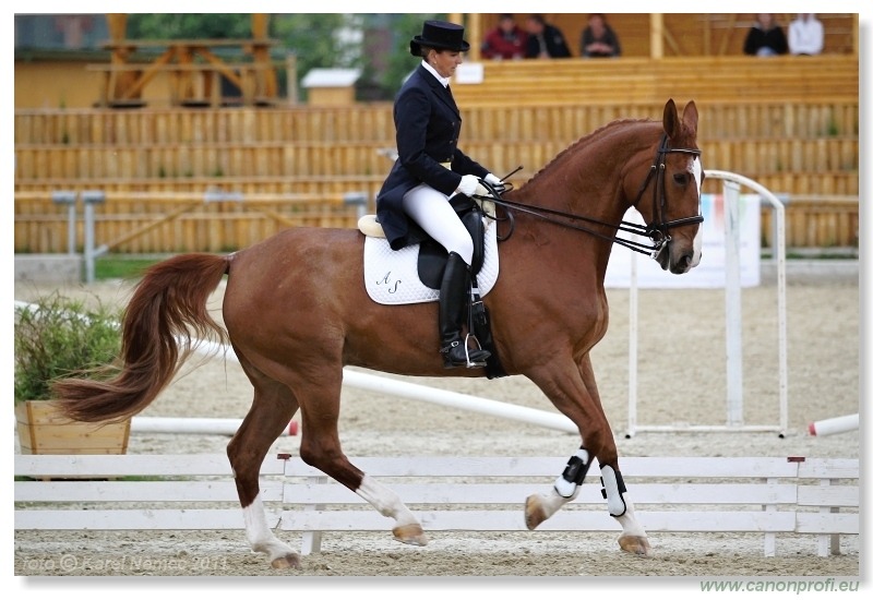 Drezúra - Dressage 2011