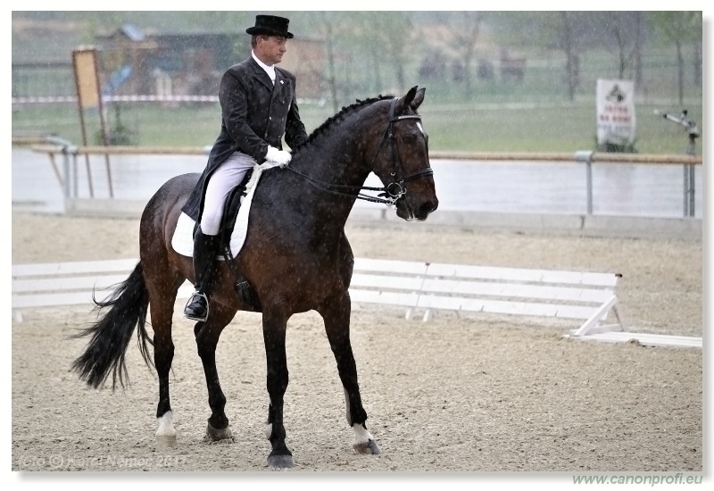 Drezúra - Dressage 2011