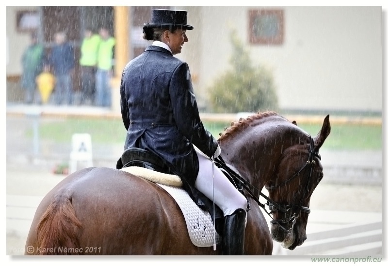 Drezúra - Dressage 2011