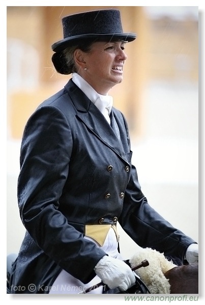 Drezúra - Dressage 2011