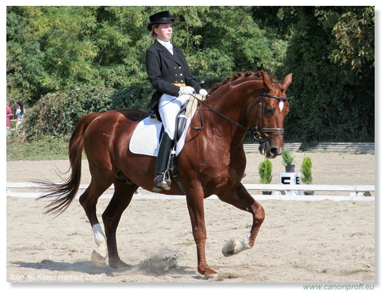 Drezúra - Dressage 2006