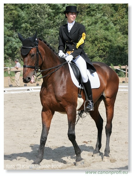 Drezúra - Dressage 2006