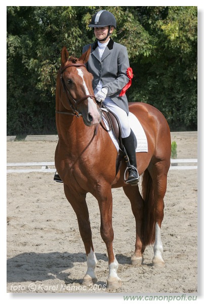 Drezúra - Dressage 2006