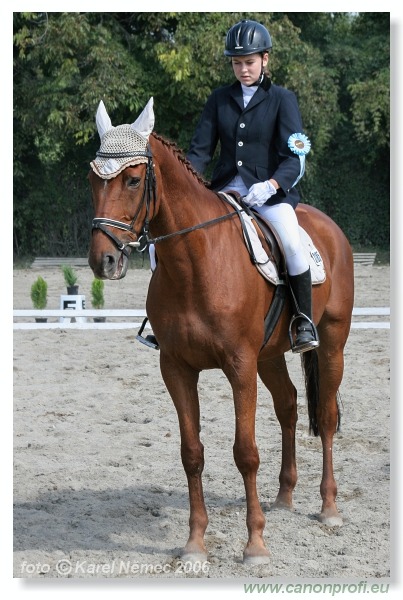 Drezúra - Dressage 2006