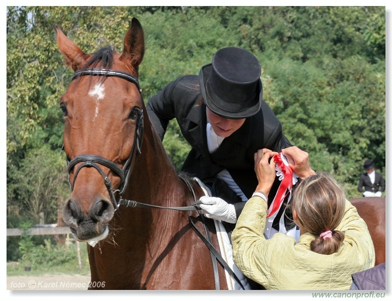 Drezúra - Dressage 2006