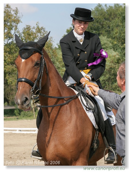 Drezúra - Dressage 2006