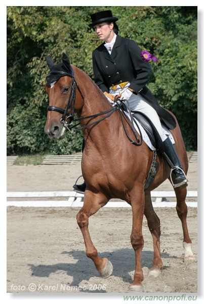 Drezúra - Dressage 2006