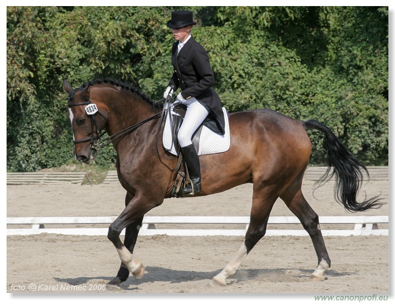 Drezúra - Dressage 2006