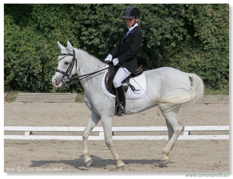 Drezúra - Dressage 2006