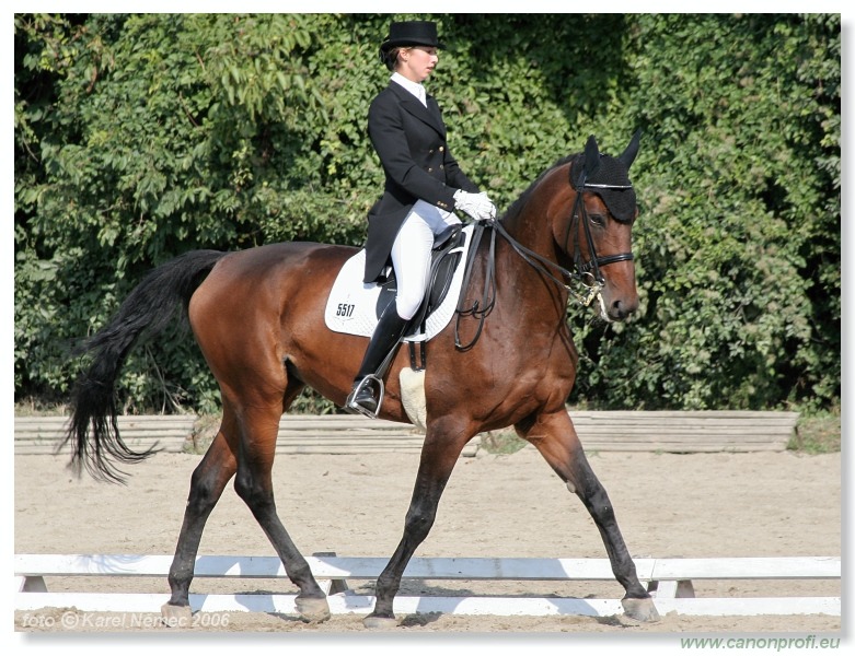 Drezúra - Dressage 2006