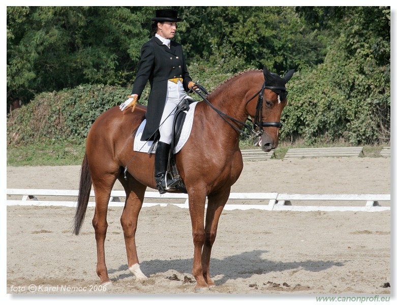 Drezúra - Dressage 2006